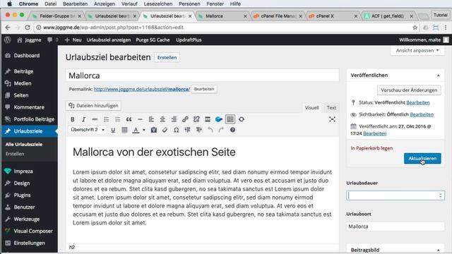 WordPress eigene Felder -Advanced Custom Fields / WordPress #24 смотреть онлайн