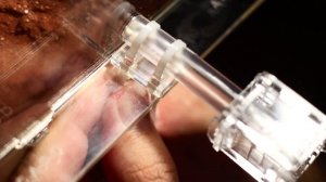 ТЕРРАРИУМ ДЛЯ МЯСНЫХ МУРАВЬЕВ | Meat ant | Iridomyrmex purpureus