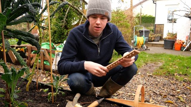 A Guide To Growing Garlic | How To Grow Garlic смотреть онлайн