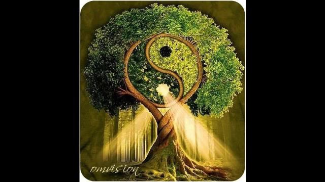 Роль знаний в жизни человека