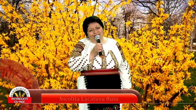 Nicolita Lacatusu Ruiu - Frunzulita si un dudau смотреть онлайн