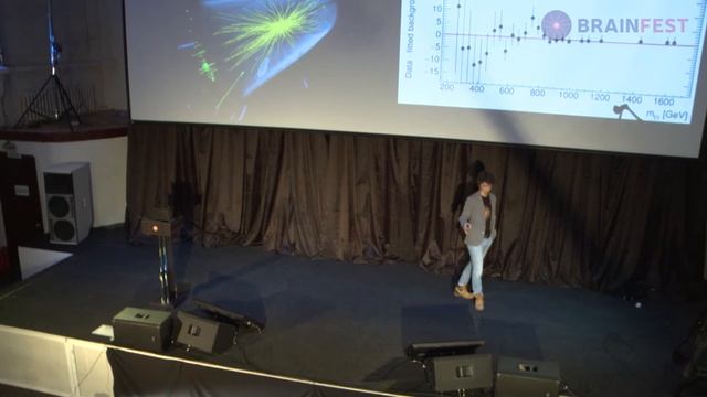 АНДРЕЙ СЕРЯКОВ -  «Большой адронный коллайдер и кварк-глюонный суп. Кулинарная книга»