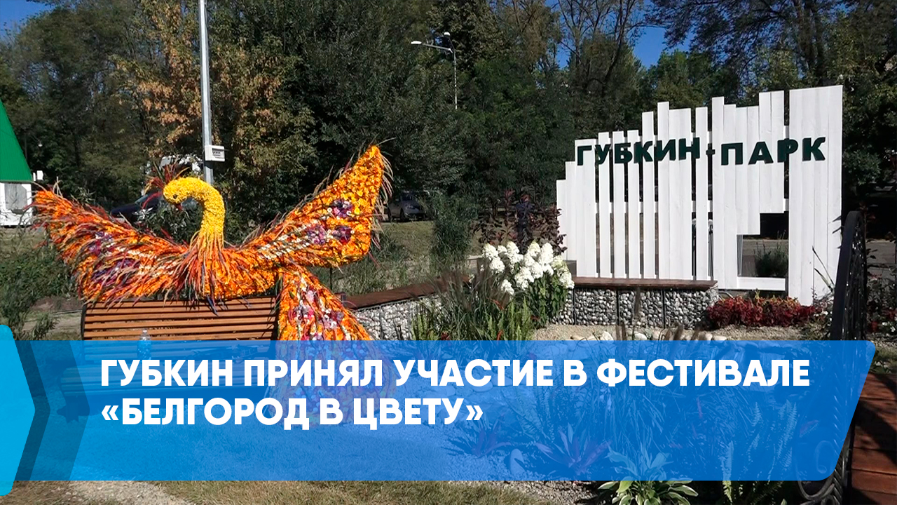 Губкин принял участие в фестивале «Белгород в цвету» смотреть онлайн