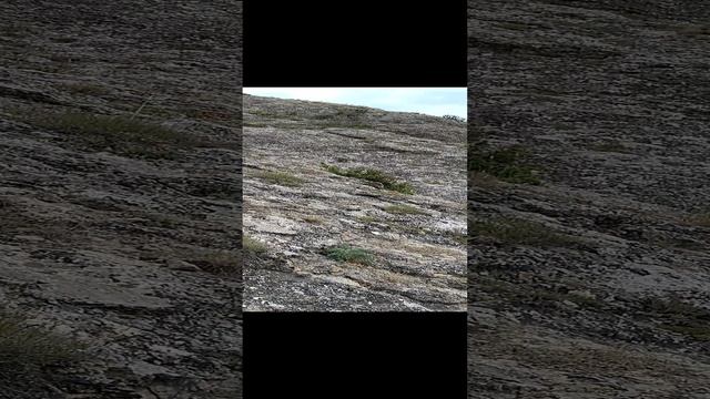 Красиво карапкаюсь на вершину горы? Алчак-Кая