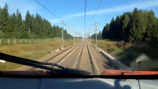Сапсан
