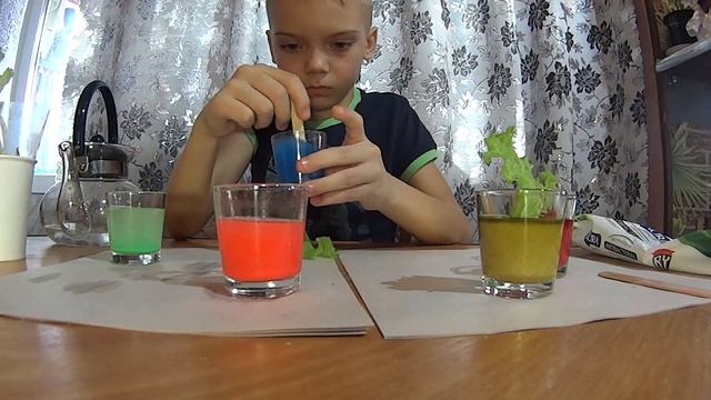 Опыты. Как растения пьют воду. Веселые эксперименты. смотреть онлайн