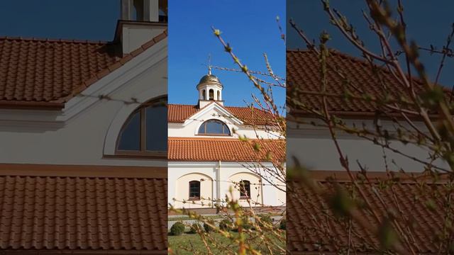 А ВЫ ЗНАЛИ, ЧТО ЛАЗАРЬ - ДРУГ ХРИСТА? #лазаревасуббота #Гродно #Беларусь #православие смотреть онлайн