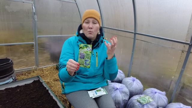 ТАК БАЗИЛИК ВЫ ТОЧНО НЕ ВЫРАЩИВАЛИ. МОДНЫЕ МИКСОВЫЕ ПРСАДКИ БАЗИЛИКА