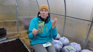 ТАК БАЗИЛИК ВЫ ТОЧНО НЕ ВЫРАЩИВАЛИ. МОДНЫЕ МИКСОВЫЕ ПРСАДКИ БАЗИЛИКА