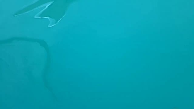 25 ГРИВЕН(МЕНЬШЕ 1$) И БАССЕЙН ЧИСТЫЙ.. смотреть онлайн