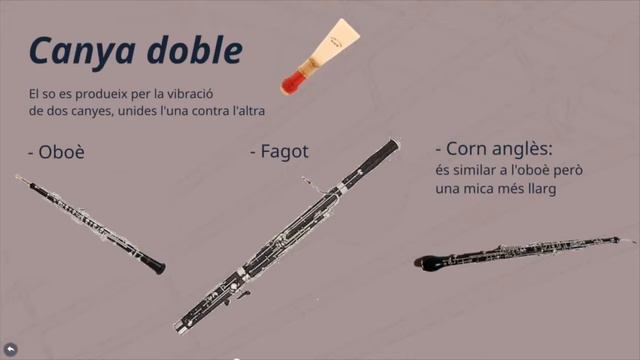 Video Instruments