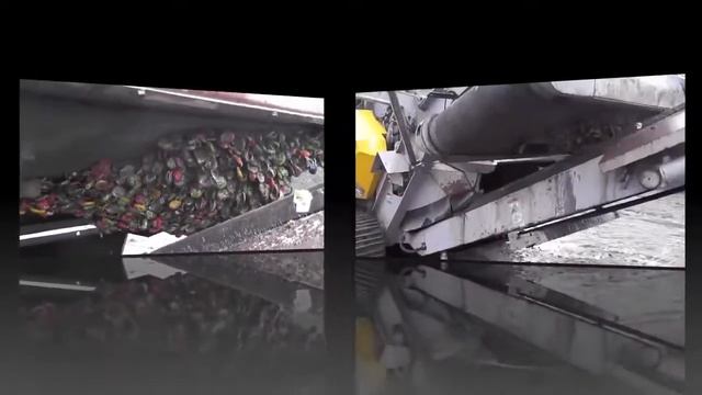 Пожиратель битого стекла