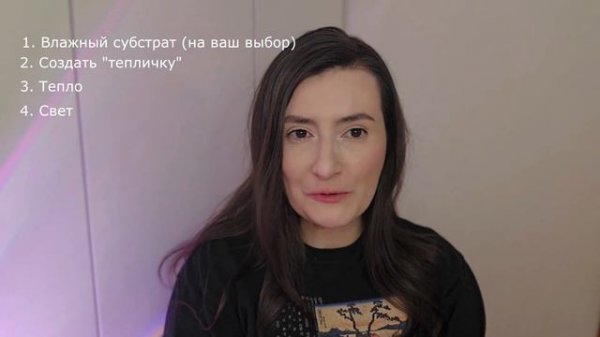 Мой опыт размножения Алоказий клубнями.