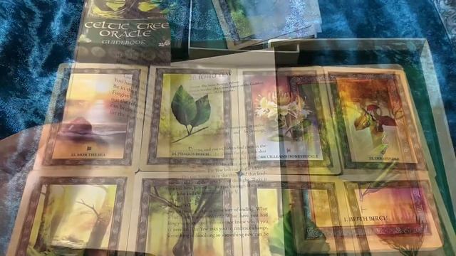 Celtic tree oracle смотреть онлайн