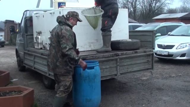Светлые горы системное зарыбление. форелью смотреть онлайн