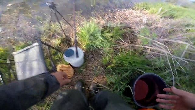КИЛОГРАМОВЫЙ КАРАСЬ В ЛЕСНОЙ РЕЧУШКЕ! Ловля карася на поплавочную удочку. смотреть онлайн