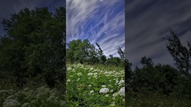 Целительные стихоТворения . Выпуск № 21 смотреть онлайн