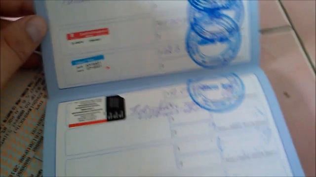 Как везти кошку в поезде по новым правилам 2019 г. смотреть онлайн
