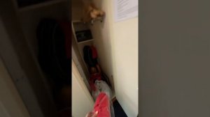 Распаковка ЛЮКС-купе премиум поезда 102 Адлер-Москва июль 2023