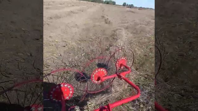 Сгребаем сено смотреть онлайн