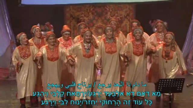 בת נדיבים לצלילי ברכה כהן/כל דקה/براخا كوهين/كل دقّة/رقصة/ITAMARPINHAS смотреть онлайн