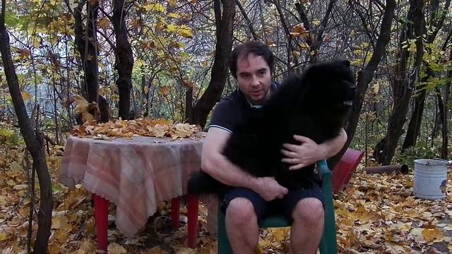 Чау Чау лечим зуб смотреть онлайн