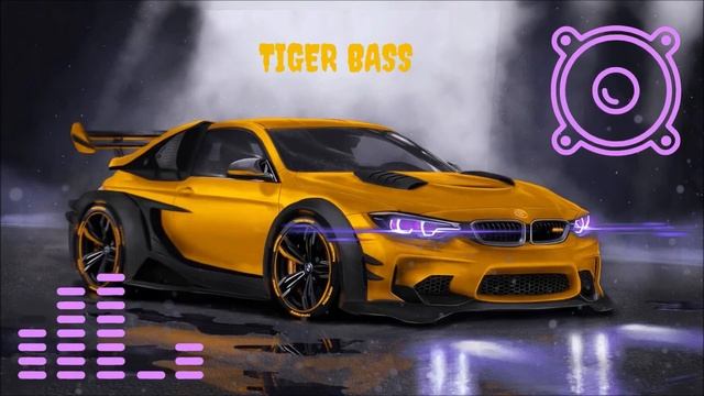 Cool BASS IN CAR ? BMW ? Ray Music - Tiger Bass смотреть онлайн
