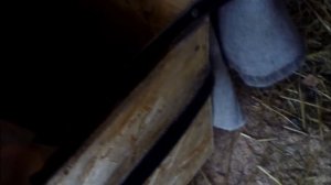 Как перевезти телёнка с фермы