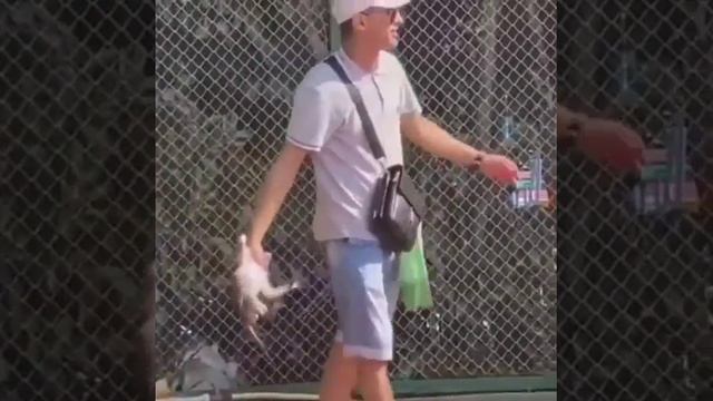 «Кто здесь зверь?»: шокирующее видео с мартышкой сняли очевидцы смотреть онлайн