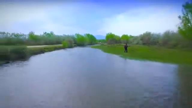 Мехди фарух2