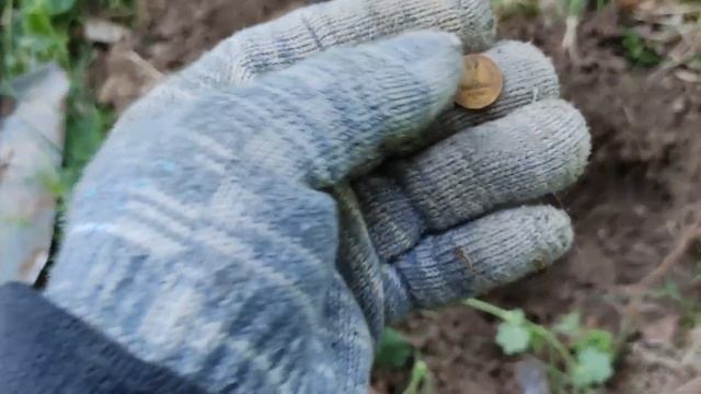 ВОЛШЕБНАЯ ПОЛЯНА У КУПЕЧЕСКОГО ДОМА смотреть онлайн