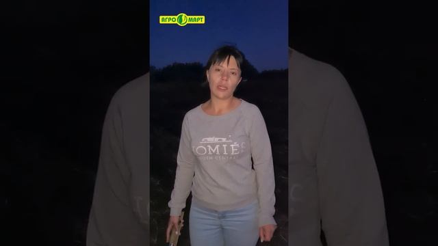 АгроБерекет 2050. Опытное поле. Посев яровой пшеницы, сорт - Любава 5. смотреть онлайн