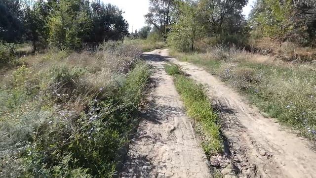 24 апреля-День Антипа - водогона.Народные приметы. смотреть онлайн