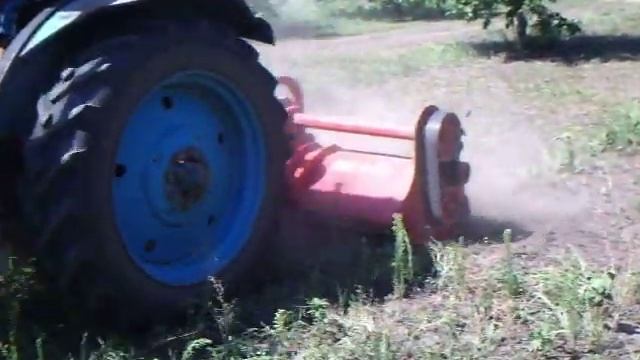 грецкий орех, уход за садом смотреть онлайн