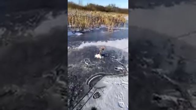 Крутцы первый лёд 2020 смотреть онлайн