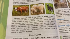 Окружающий мир/3 кл/часть 2/Плешаков/Животноводство/22.02.22