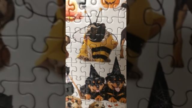 Halloween Pets Jigsaw Puzzle - Eurographics смотреть онлайн