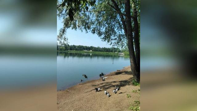 Прогулка по любимому городу в разное время года! г. Лысьва. 2021 г. смотреть онлайн