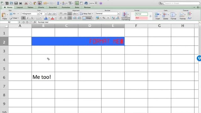 Excel 2011:  Format Painter