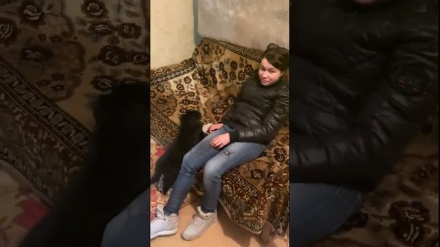 БЕЗУМНЫЙ ПАША И ИРИШКА В ГОСТЯХ У САНИ БЫКА смотреть онлайн