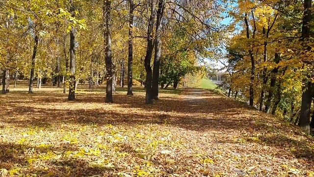 Лена и Ваня LIFE / Кабы я была царица...Лена сравнивает себя с Елизаветой / Обзор влогов смотреть онлайн