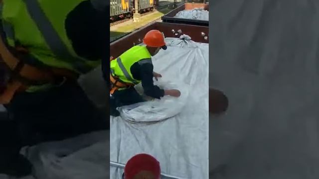 Выгрузка зерна из полу вагона на ЛКХП им. Кирова.(1) смотреть онлайн