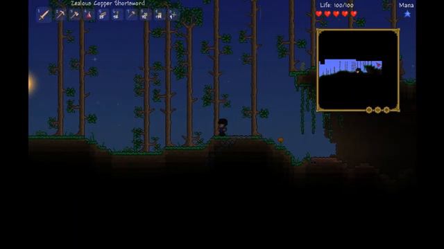 Terraria |1.2 | Episode 2 | FACE MONSTERS AND SPIDERS смотреть онлайн