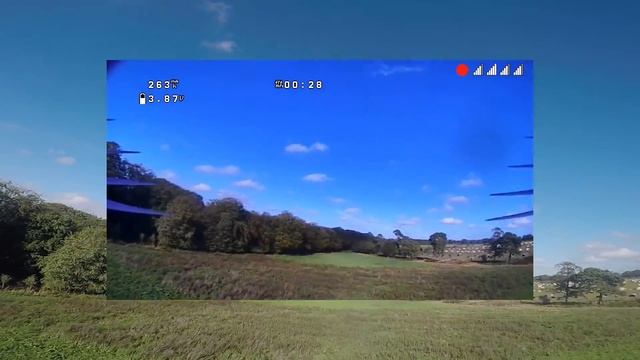 Testing Shark Byte on Fatshark goggles Dominator V3 смотреть онлайн