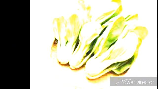 10 САМЫХ ПОЛЕЗНЫХ ОВОЩЕЙ В МИРЕ