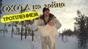 Охота на зайца троплением. Поиски зайца. Охота на зайца 2022