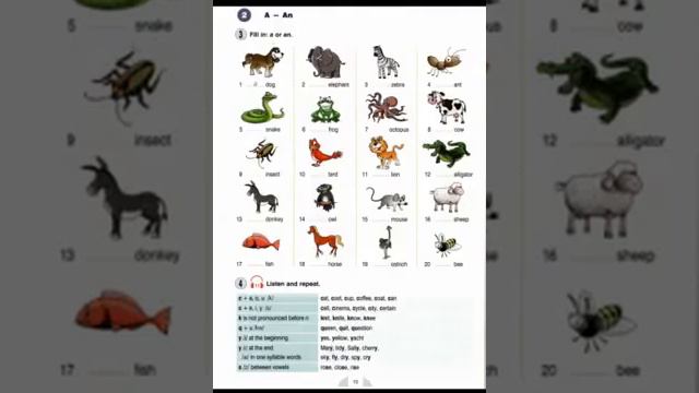 New Round up Starter - Unit 2 - PDF, Audio, CDs смотреть онлайн