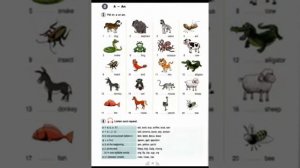 New Round up Starter - Unit 2 - PDF, Audio, CDs