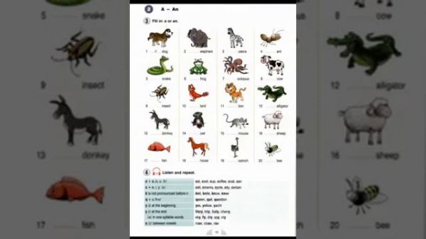 New Round up Starter - Unit 2 - PDF, Audio, CDs