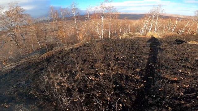 KAYO K4 заезд в гору или оно мне нужно? смотреть онлайн